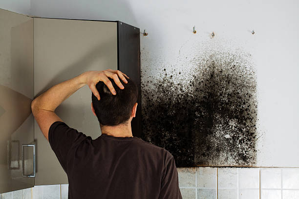 Best Office Mold Removal Services  in Dove Valley, CO